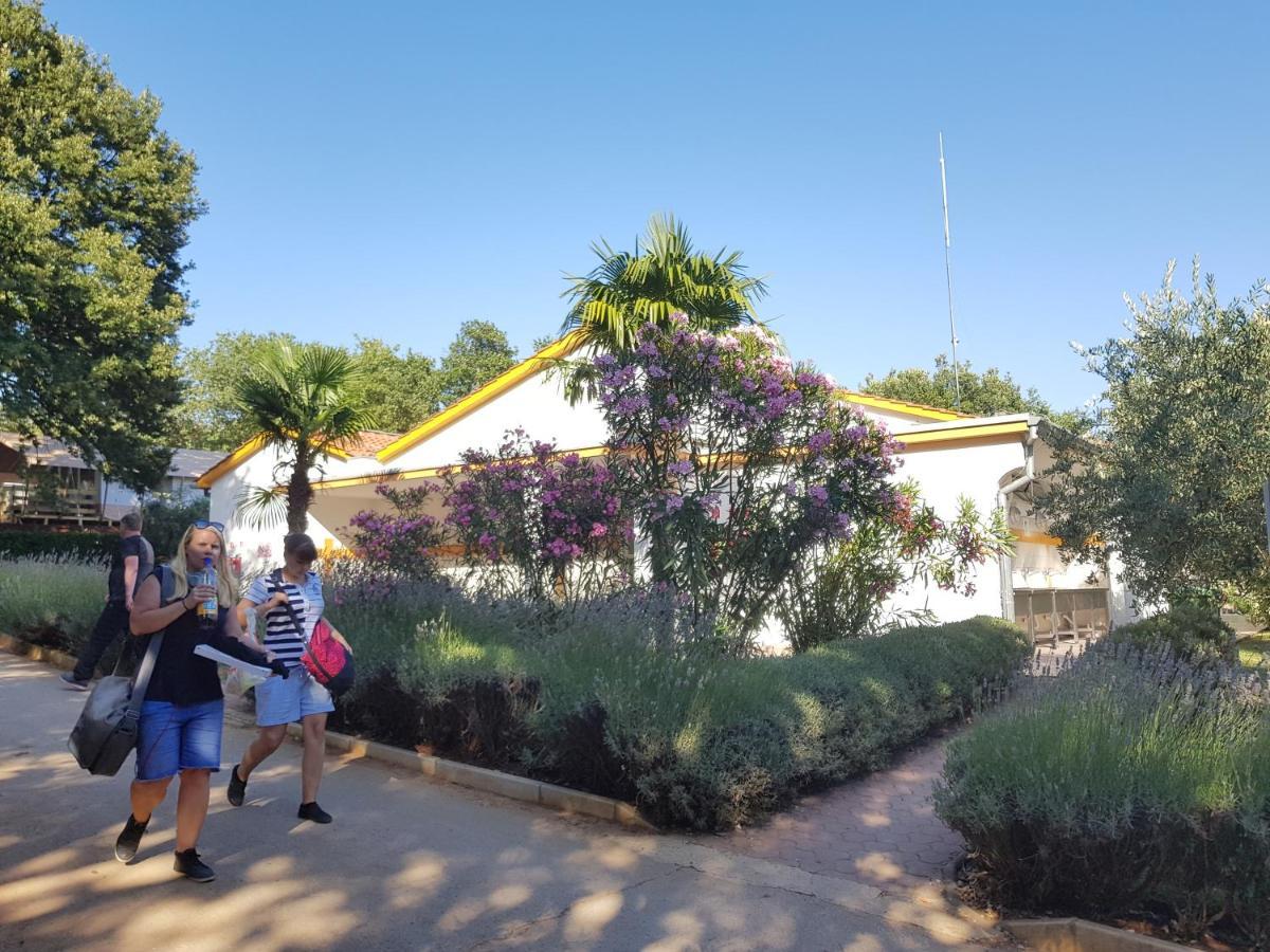 Ferienpark Mobile Homes Banko In Bijela Uvala And Zelena Laguna